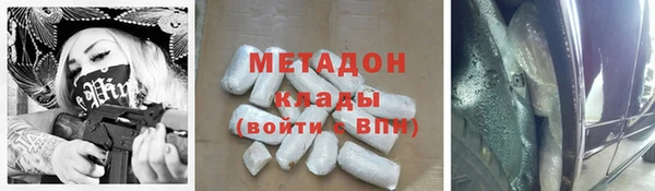 прущие грибы Алексин