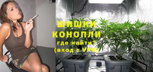 ПСИЛОЦИБИНОВЫЕ ГРИБЫ Абдулино