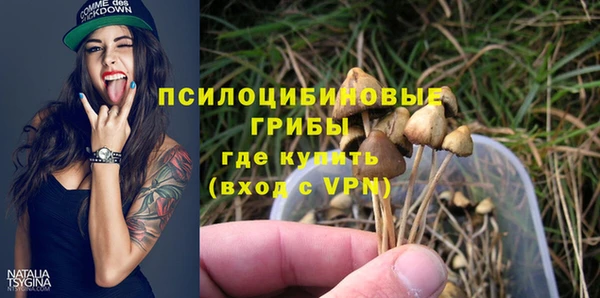 соль ск Алексеевка