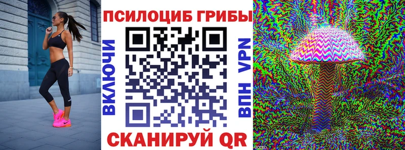 Галлюциногенные грибы Cubensis магазин наркотиков Вилючинск